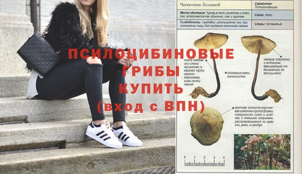 каннабис Кодинск