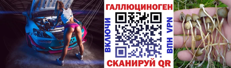 Галлюциногенные грибы мицелий  Купить где  Воркута 